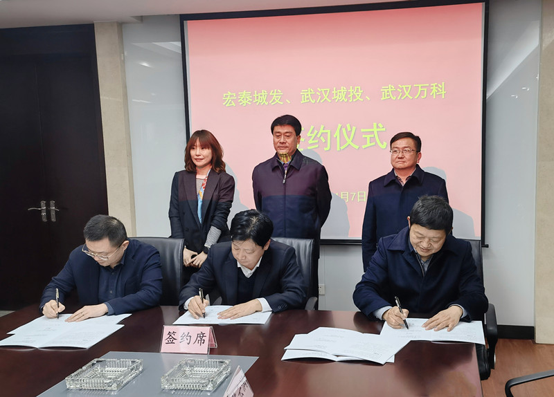 武汉城投置业公司与湖北省宏泰城市发展有限公司